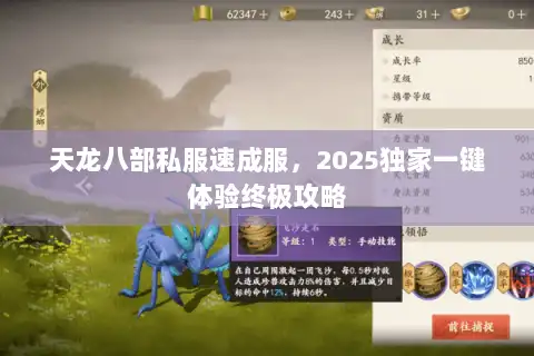 天龙八部私服速成服，2025独家一键体验终极攻略