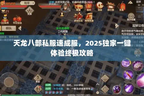 天龙八部私服速成服，2025独家一键体验终极攻略