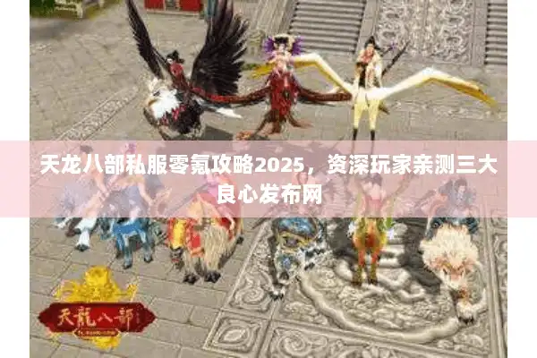天龙八部私服零氪攻略2025，资深玩家亲测三大良心发布网