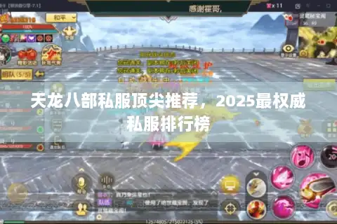 天龙八部私服顶尖推荐，2025最权威私服排行榜