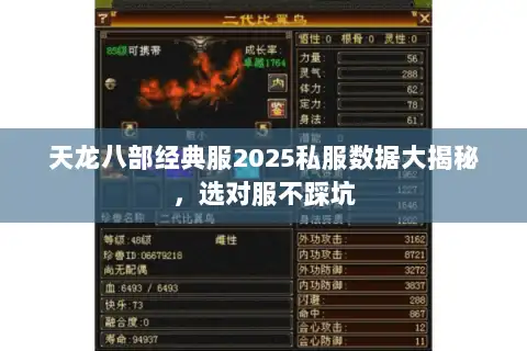 天龙八部经典服2025私服数据大揭秘，选对服不踩坑