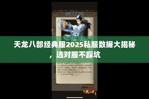 天龙八部经典服2025私服数据大揭秘，选对服不踩坑