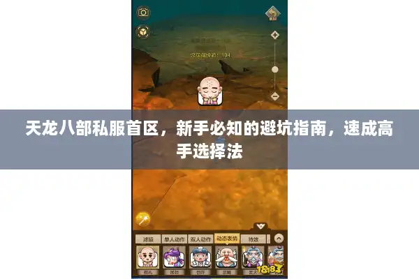天龙八部私服首区，新手必知的避坑指南，速成高手选择法