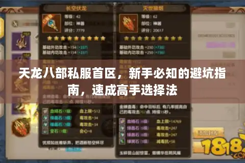 天龙八部私服首区，新手必知的避坑指南，速成高手选择法