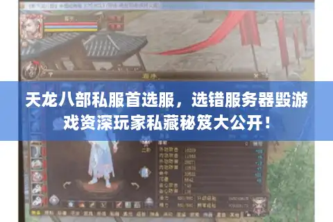 天龙八部私服首选服,选错服务器毁游戏资深玩家私藏秘笈大公开! 天龙八部私服首选服,选错服务器毁游戏资深玩家私藏秘笈大公开!