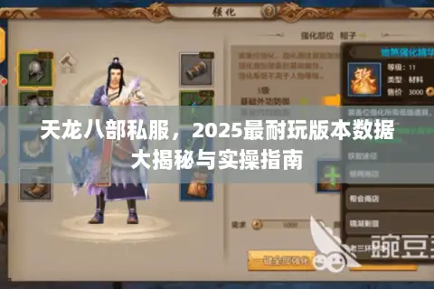 天龙八部私服，2025最耐玩版本数据大揭秘与实操指南