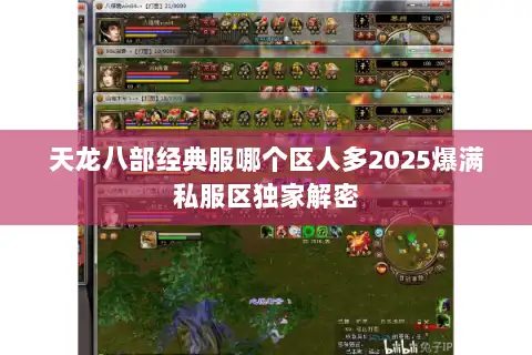 天龙八部经典服哪个区人多2025爆满私服区独家解密