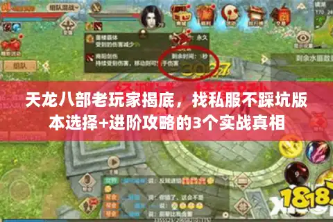 天龙八部老玩家揭底，找私服不踩坑版本选择+进阶攻略的3个实战真相