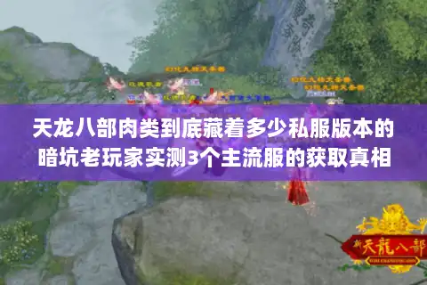 天龙八部肉类到底藏着多少私服版本的暗坑老玩家实测3个主流服的获取真相