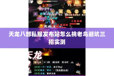 天龙八部私服发布站怎么挑老鸟避坑三招实测