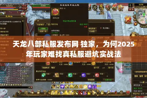 天龙八部私服发布网 独家，为何2025年玩家难找真私服避坑实战法