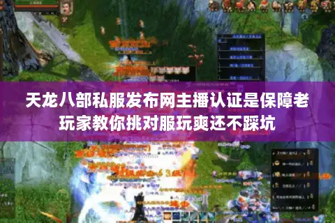 天龙八部私服发布网主播认证是保障老玩家教你挑对服玩爽还不踩坑