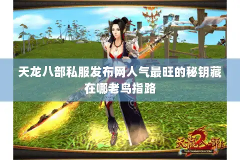 天龙八部私服发布网人气最旺的秘钥藏在哪老鸟指路