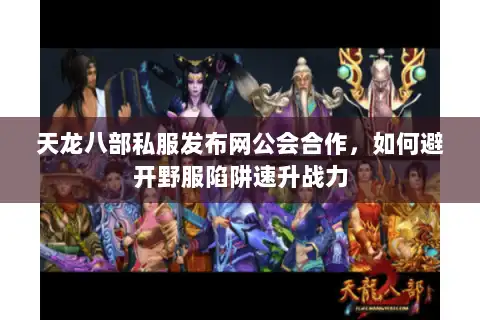 天龙八部私服发布网公会合作，如何避开野服陷阱速升战力