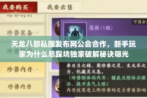 天龙八部私服发布网公会合作，新手玩家为什么总踩坑独家破解秘诀曝光