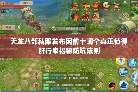 天龙八部私服发布网前十哪个真正值得肝行家揭秘防坑法则