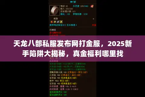 天龙八部私服发布网打金服，2025新手陷阱大揭秘，真金福利哪里找