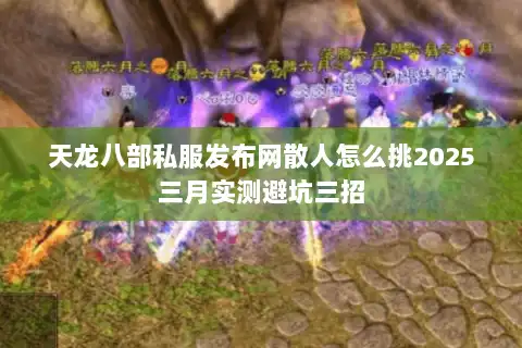 天龙八部私服发布网散人怎么挑2025三月实测避坑三招