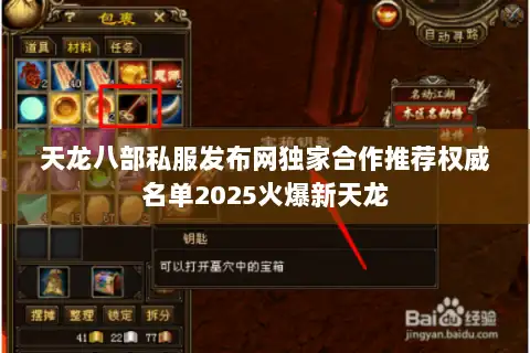 天龙八部私服发布网独家合作推荐权威名单2025火爆新天龙