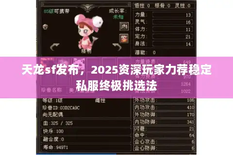 天龙sf发布，2025资深玩家力荐稳定私服终极挑选法