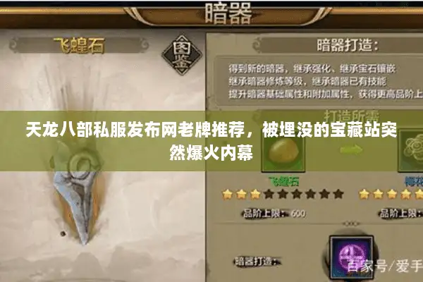 天龙八部私服发布网老牌推荐,被埋没的宝藏站突然爆火内幕 天龙八部私服发布网老牌推荐,被埋没的宝藏站突然爆火内幕