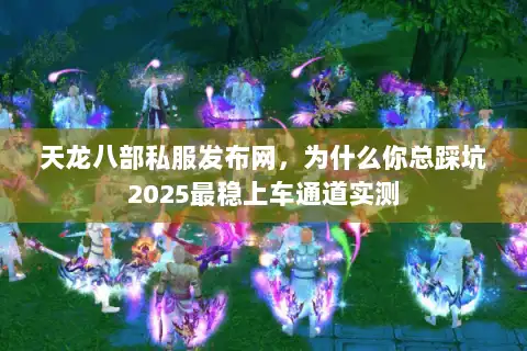 天龙八部私服发布网，为什么你总踩坑2025最稳上车通道实测