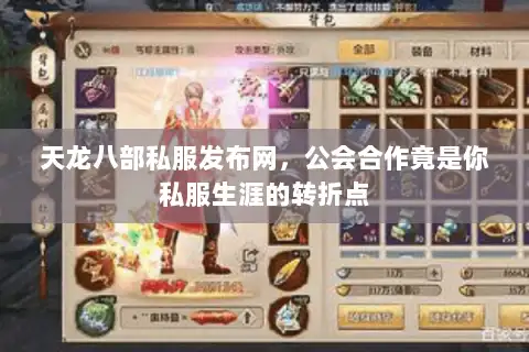 天龙八部私服发布网，公会合作竟是你私服生涯的转折点