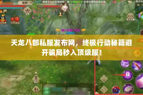 天龙八部私服发布网，终极行动秘籍避开骗局秒入顶级服！
