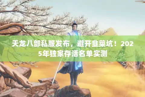 天龙八部私服发布，避开韭菜坑！2025年独家存活名单实测