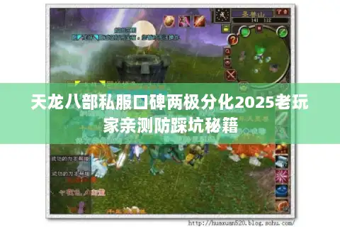 天龙八部私服口碑两极分化2025老玩家亲测防踩坑秘籍