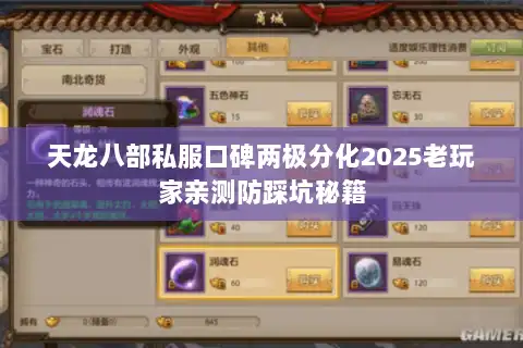 天龙八部私服口碑两极分化2025老玩家亲测防踩坑秘籍