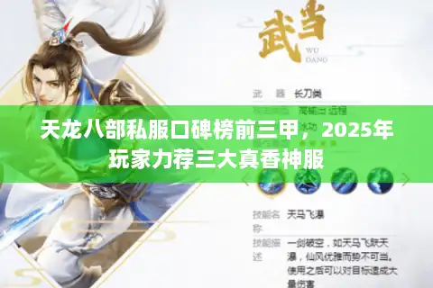 天龙八部私服口碑榜前三甲，2025年玩家力荐三大真香神服