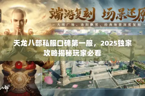 天龙八部私服口碑第一服，2025独家攻略揭秘玩家必看