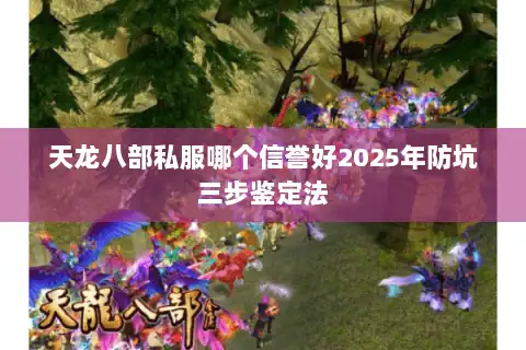 天龙八部私服哪个信誉好2025年防坑三步鉴定法