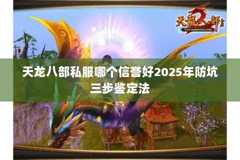 天龙八部私服哪个信誉好2025年防坑三步鉴定法
