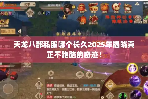 天龙八部私服哪个长久2025年揭晓真正不跑路的奇迹！