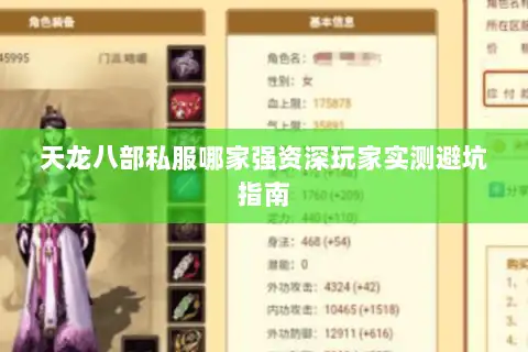 天龙八部私服哪家强资深玩家实测避坑指南