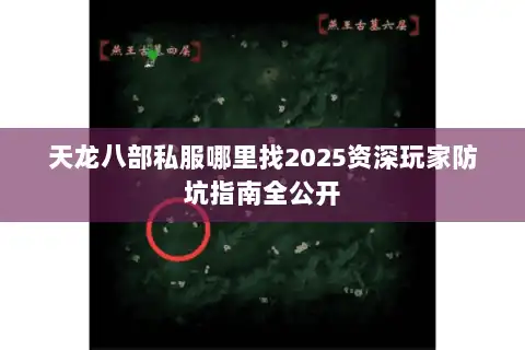 天龙八部私服哪里找2025资深玩家防坑指南全公开