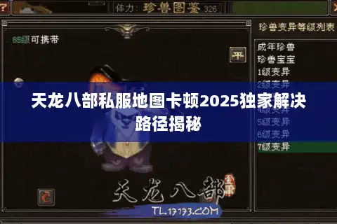 天龙八部私服地图卡顿2025独家解决路径揭秘