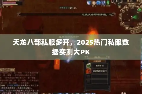 天龙八部私服多开,2025热门私服数据实测大PK 天龙八部私服多开,2025热门私服数据实测大PK
