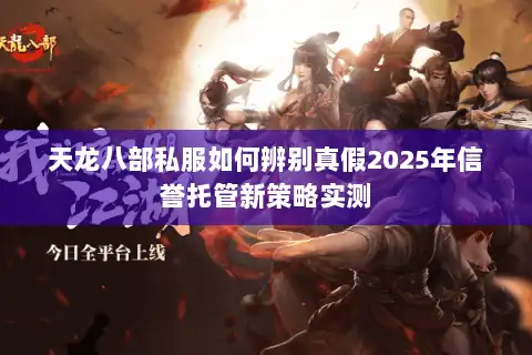 天龙八部私服如何辨别真假2025年信誉托管新策略实测