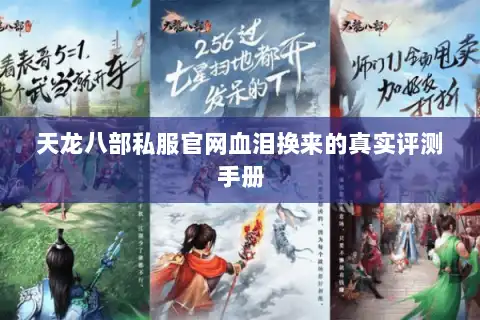 天龙八部私服官网血泪换来的真实评测手册