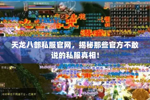 天龙八部私服官网，揭秘那些官方不敢说的私服真相！