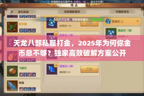 天龙八部私服打金，2025年为何你金币总不够？独家高效破解方案公开