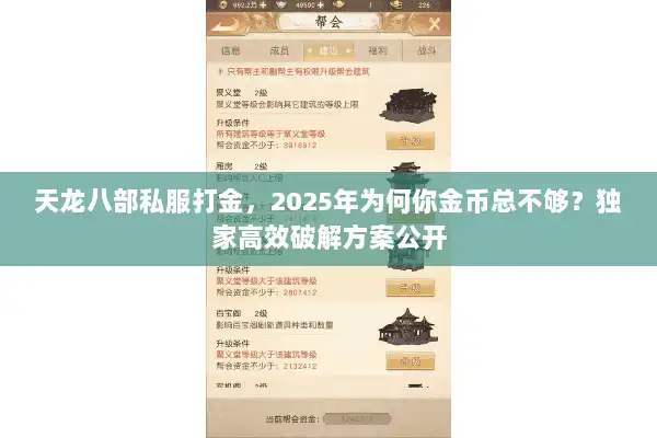 天龙八部私服打金，2025年为何你金币总不够？独家高效破解方案公开