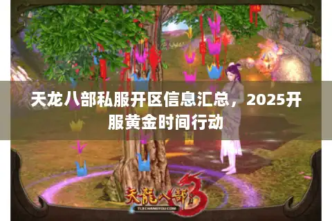 天龙八部私服开区信息汇总，2025开服黄金时间行动