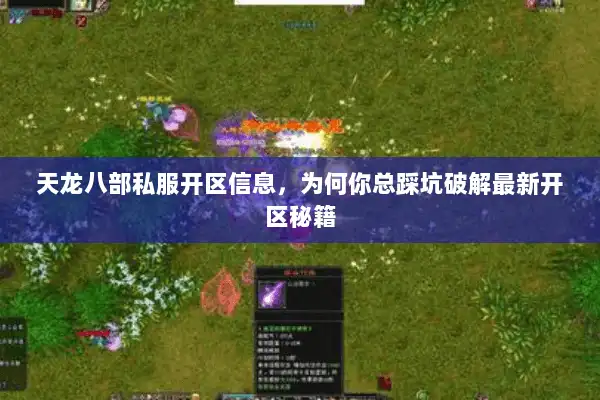 天龙八部私服开区信息，为何你总踩坑破解最新开区秘籍