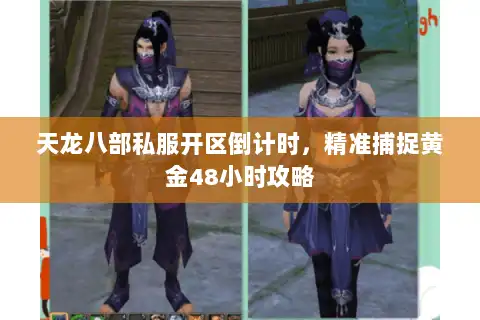 天龙八部私服开区倒计时，精准捕捉黄金48小时攻略