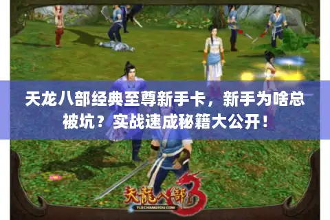 天龙八部经典至尊新手卡，新手为啥总被坑？实战速成秘籍大公开！