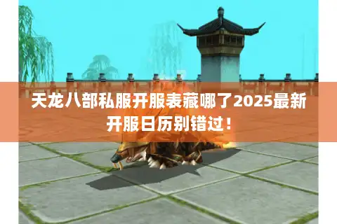 天龙八部私服开服表藏哪了2025最新开服日历别错过！